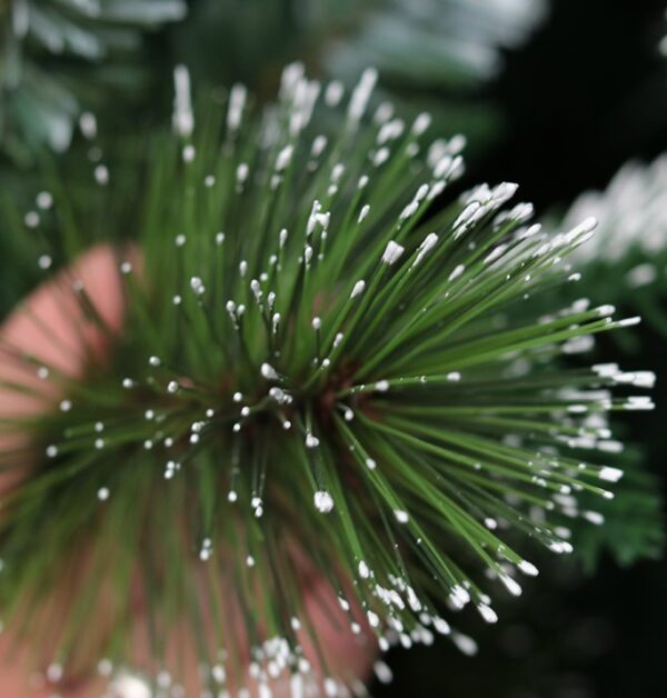 e04ba4322fe75b51847a9aeeef2fe590