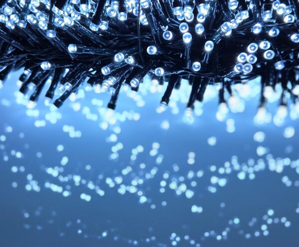 d89839998474fda382e3014834b6d3ae