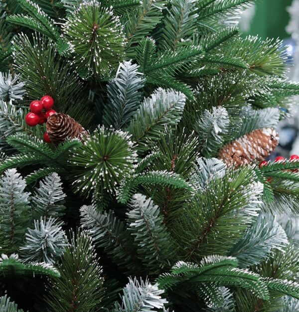 dc7466217e09456bde5028d1294497b6